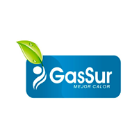 gassur